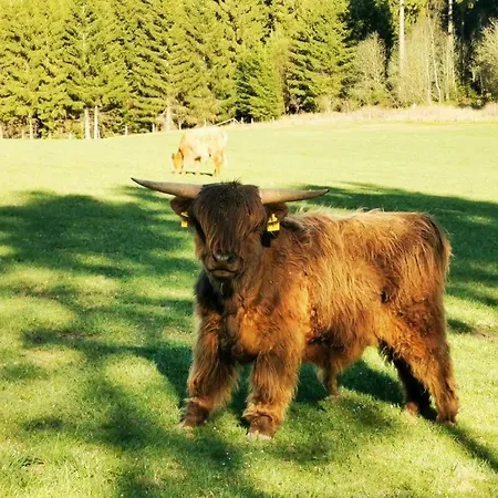 Stylische Wohnung, Toller Ausblick Selbst-check-in