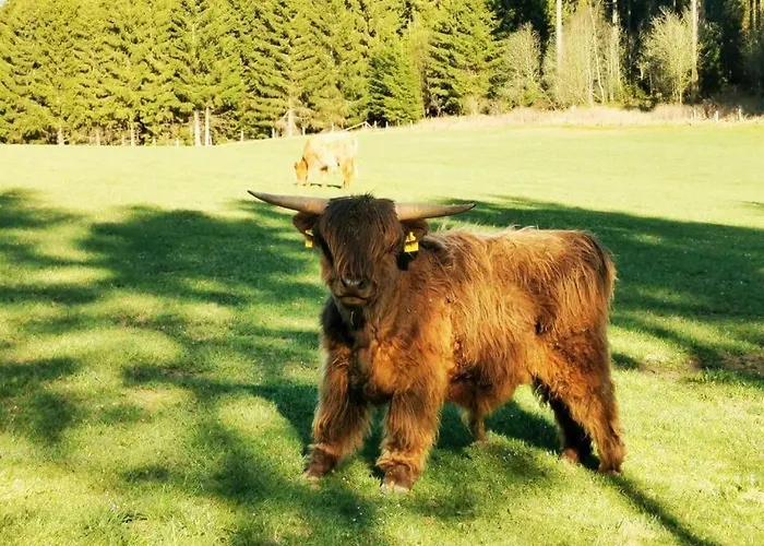 Stylische Wohnung, Toller Ausblick Selbst-check-in